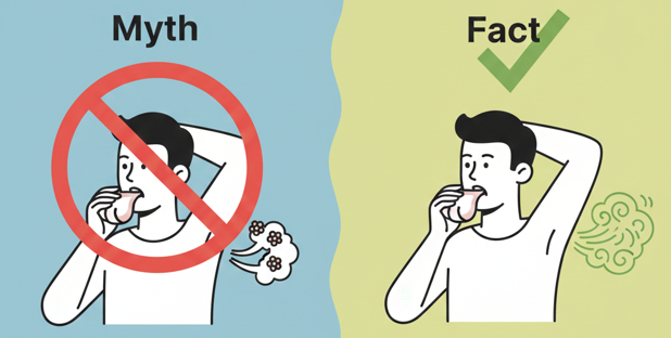 Mitos atau Fakta: Makan banyak bawang bisa menyebabkan bau badan?